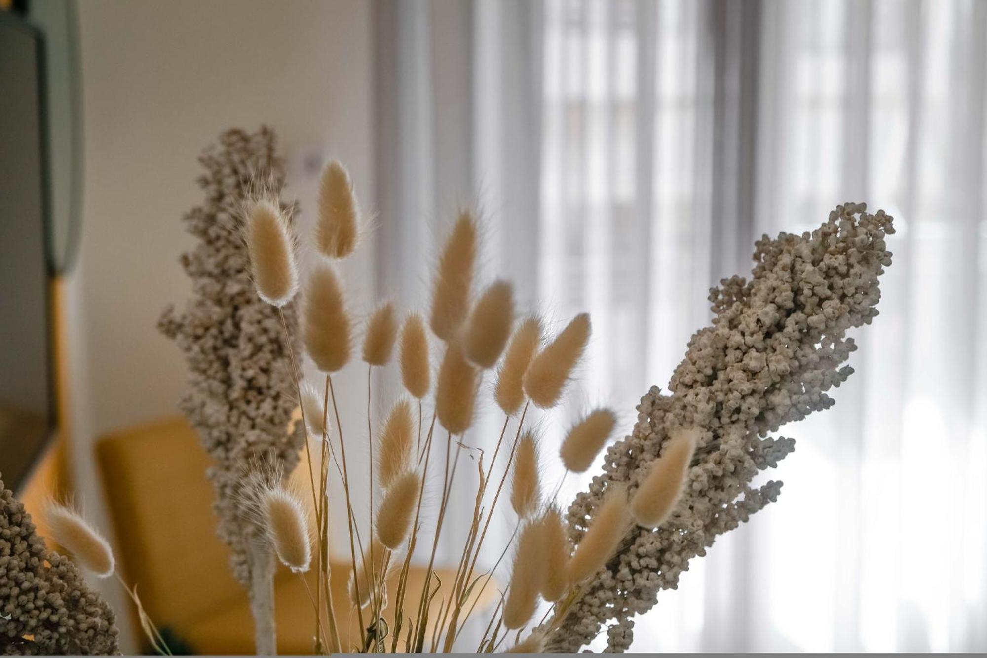 Orsiida Family Apartment וולוס מראה חיצוני תמונה